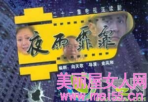 夜雨霏霏
