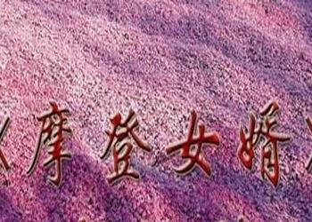 电视剧《摩登女婿》分集剧情介绍