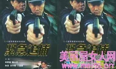紧急追捕