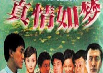 真情如梦/找不着北