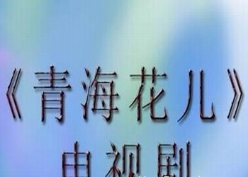 电视剧《青海花儿》分集剧情（第16-29全集）