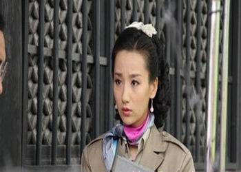 电视剧《密战峨眉》分集剧情介绍